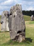 The Stones