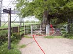 Through the Gate