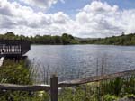 The Mill Pond
