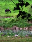 Wigbeth Lake