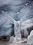 An Eagle