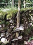 Fence Post